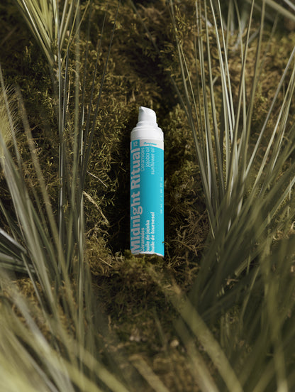 Ceramide Barrier Night Cream